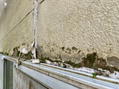 苫小牧市の外壁にコケや藻がつくのはなぜ？外壁塗装を考える前に知っておきたいこと